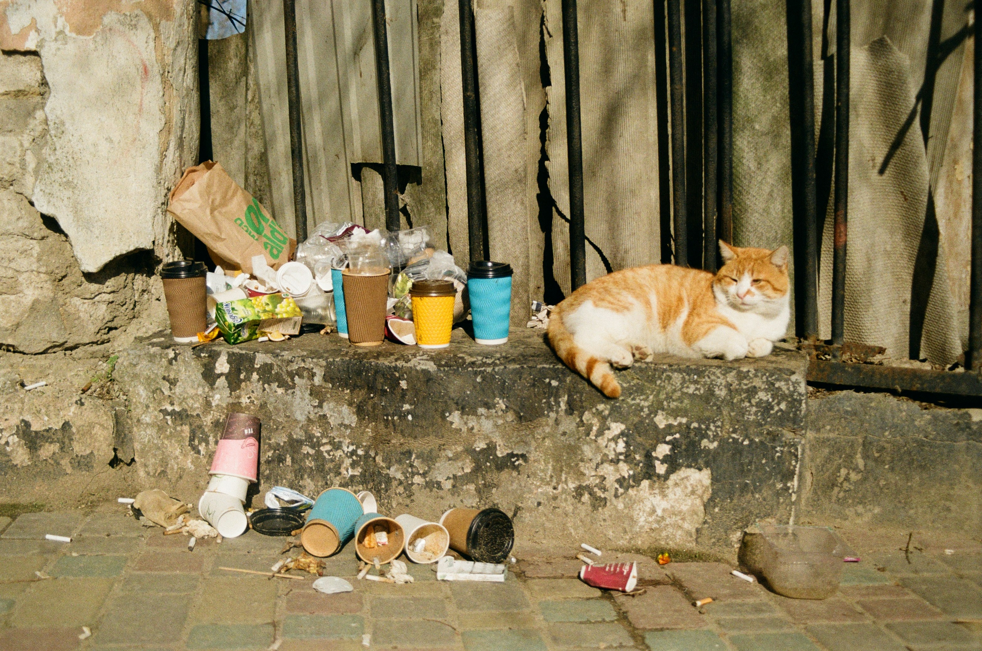 Temiz ve düzenli besleme alanı