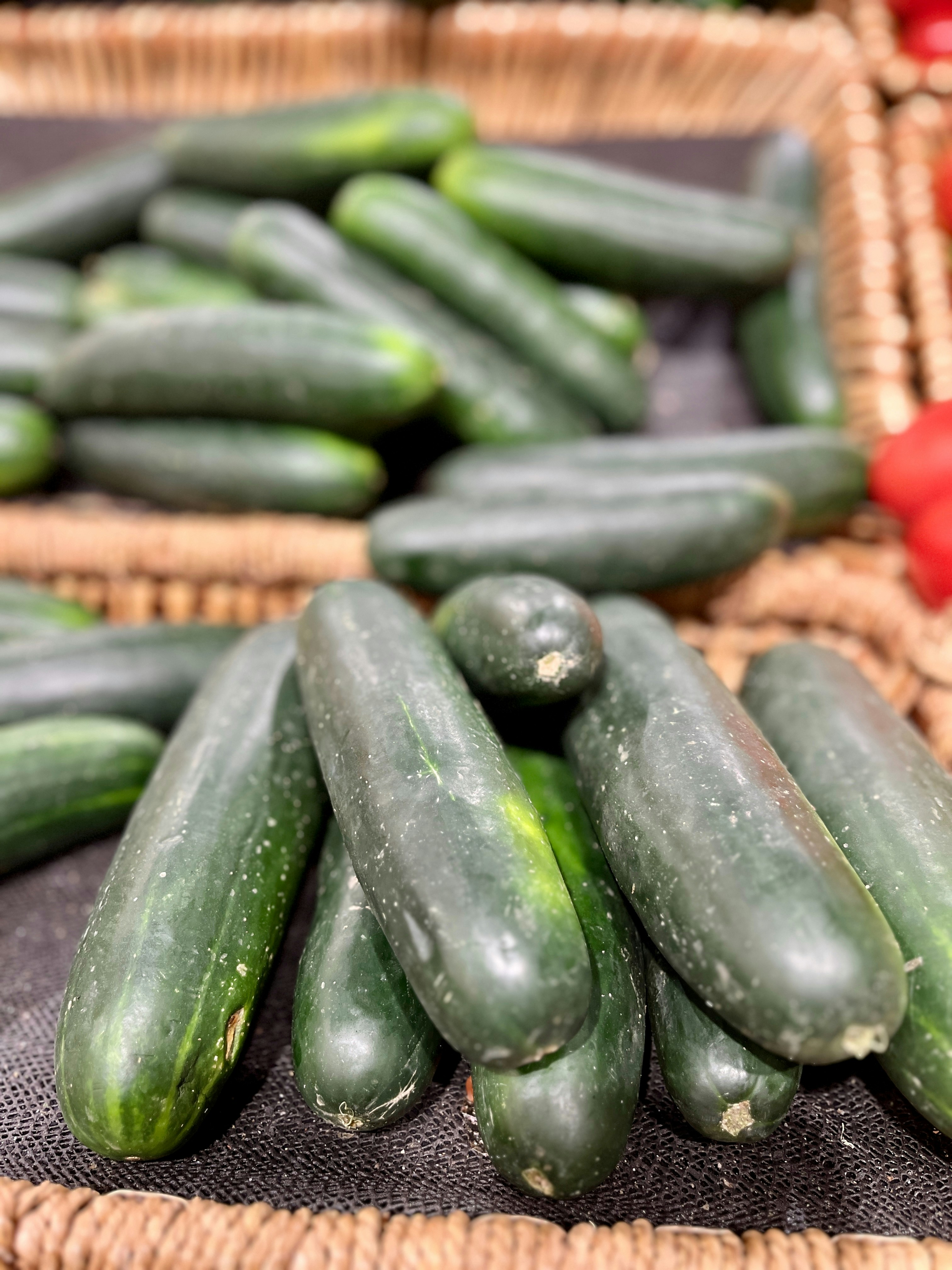 Salatalık verilen tavşan